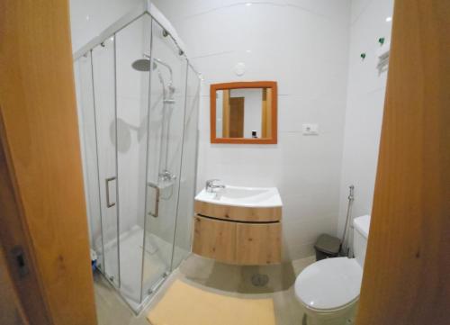 a bathroom with a shower and a sink and a toilet at Ap ACVA in Mindelo
