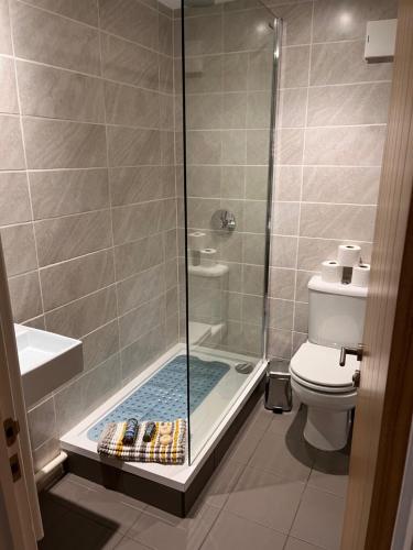 a bathroom with a shower and a toilet at Green Cottage in grounds of Grade II* Frognal Farmhouse in Sittingbourne