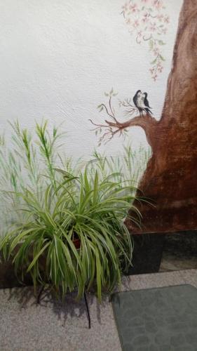 Taman di luar Cueva de la abuela