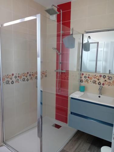 une salle de bain avec douche et lavabo dans l'établissement Gîte le pont de la Loire, à Bourbon-Lancy