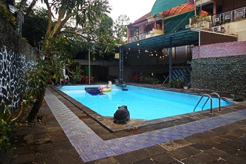 a black cat sitting in a swimming pool at PLUM Hotel Palereman Batu in Batu