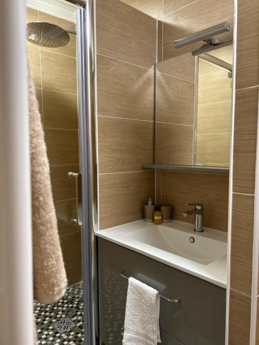 une salle de bain avec un lavabo et une douche dans l'établissement Appartement climatisé Disney- Val D'europe, à Serris