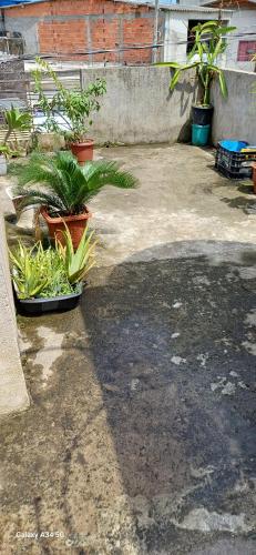 a patio with potted plants on the ground at VAL's Hostel in Guarujá