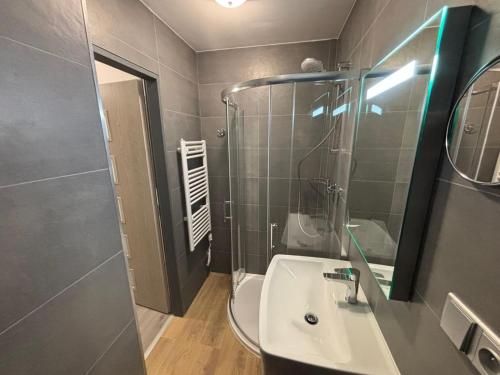 a bathroom with a sink and a shower at Apartments Gato Karlovy Vary Jenišov in Karlovy Vary