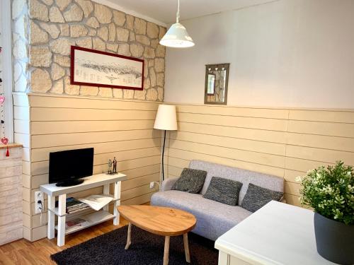 een woonkamer met een bank en een tv bij Charmant studio avec jardin, 2pers, centre-ville in Cauterets