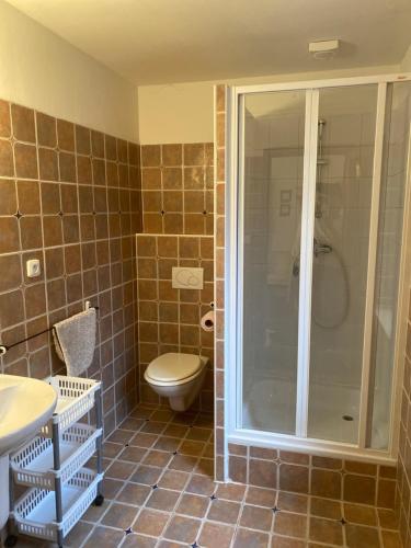 a bathroom with a shower and a toilet and a sink at Chata Paperule in Horní Maršov