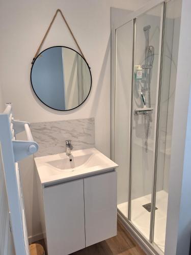 une salle de bain avec un lavabo et une douche dans l'établissement Notre Dame 4 - 50m bords de Loire - Hypercentre - Très lumineux, à Orléans