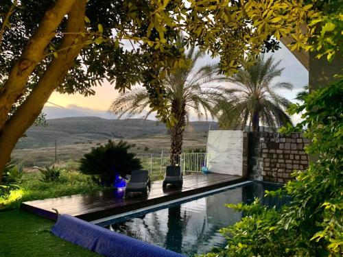a swimming pool with two lawn chairs and palm trees at Diamond Mansion-Suite A in Had Nes