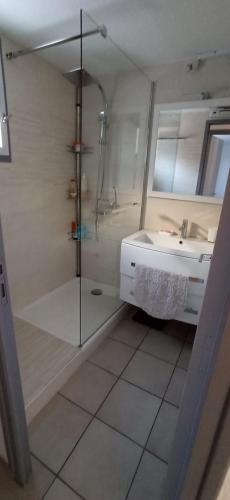 une salle de bain avec douche et lavabo dans l'établissement Maison L'Olivier ,6 couchages St Cyprien plage 3 étoiles, à Saint Cyprien Plage