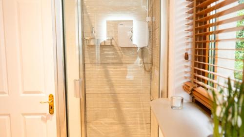 a bathroom with a shower with a glass door at The Lodge at Bodenlodge in Malahide