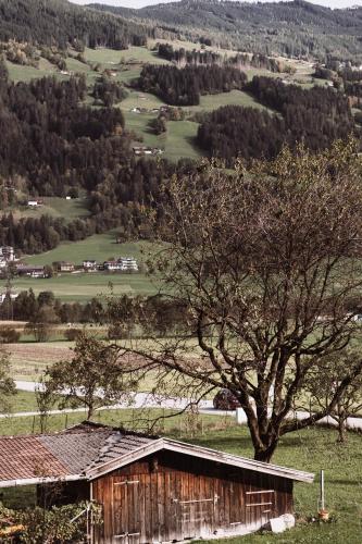 an old barn in a field with a tree at Lebe`schlitters - Das Ferienapartmenthaus im Zillertal in Schlitters