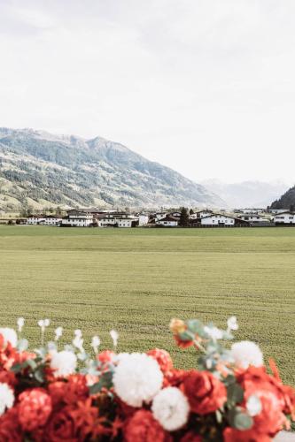 a pile of red and white flowers in a field at Lebe`schlitters - Das Ferienapartmenthaus im Zillertal in Schlitters