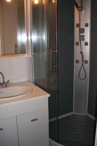 a bathroom with a shower and a sink at L'Aquarelle - Camping in La Souterraine