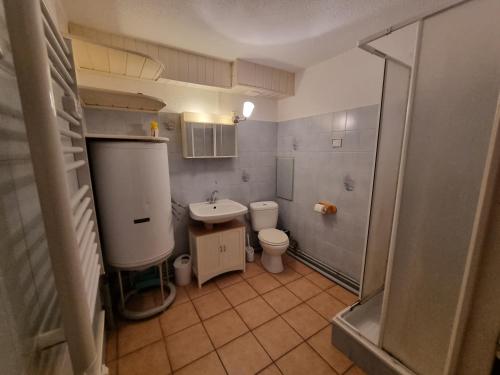 une petite salle de bain avec toilettes et lavabo dans l'établissement Signal du Prorel Briançon Serre Chevalier 