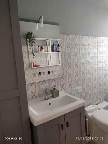 une salle de bain avec un lavabo et des toilettes dans l'établissement Maison Médicis - T5 Spacieuse et Calme en Ville - Emplacement Idéal, à Toulouse