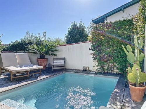 - une piscine dans une cour avec un banc et un cactus dans l'établissement Maison 4 Chambres Côte des Basques Avec Piscine, à Biarritz