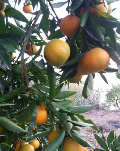 Gambar di galeri bagi El Vergel di Cazorla