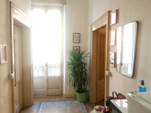 La salle de bains est pourvue d'une porte et d'une plante en pot. dans l'établissement Appartamento Palazzo Teatronuovo, à Bergame