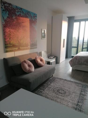 a living room with a couch with two pillows on it at IL CILIEGIO DI ZOE in Cerro Lago Maggiore