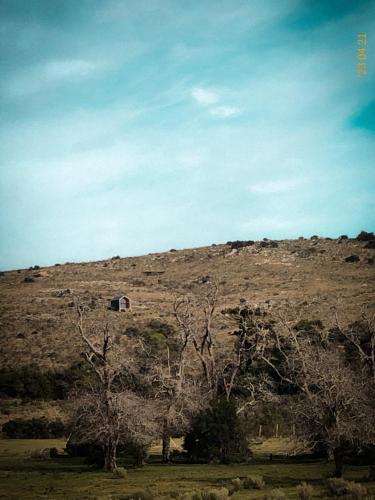 a house on top of a hill with trees at Casa Pitoco - Magia en las Sierras in Minas