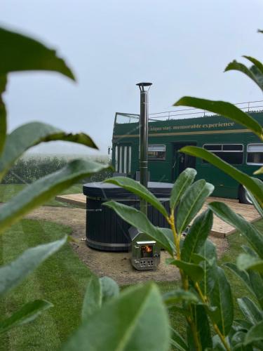 un tren verde en las vías junto a algunas plantas en Bed&Bus met dakterras, en Rucphen