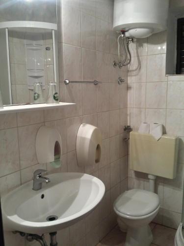 a bathroom with a sink and a toilet and a mirror at Apartments "Villa Mungos" Sobra in Sobra