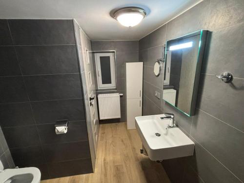 a bathroom with a sink and a toilet and a mirror at Apartments Gato Karlovy Vary Jenišov in Karlovy Vary