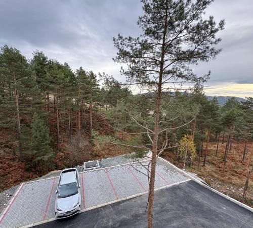 Priroda u blizini apartmana