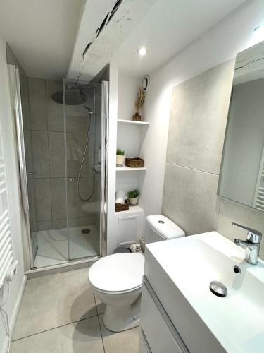 une salle de bain avec une douche, des toilettes et un lavabo dans l'établissement Charmants 2 pièces - Hyper centre de Rouen, à Rouen