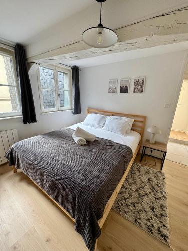 - une chambre avec un grand lit dans une pièce dotée de fenêtres dans l'établissement Charmants 2 pièces - Hyper centre de Rouen, à Rouen