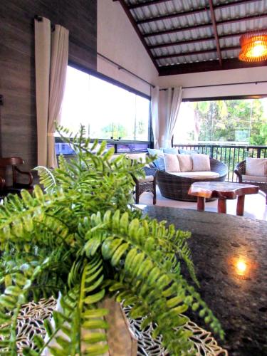 a room with a bunch of green plants on a table at Mar e Lar in Maragogi