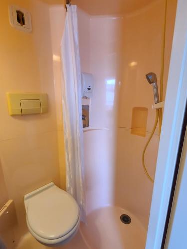 a small bathroom with a toilet and a shower at HOTEL PREMIERE CLASSE Rouen Sud Oissel in Saint-Étienne-du-Rouvray