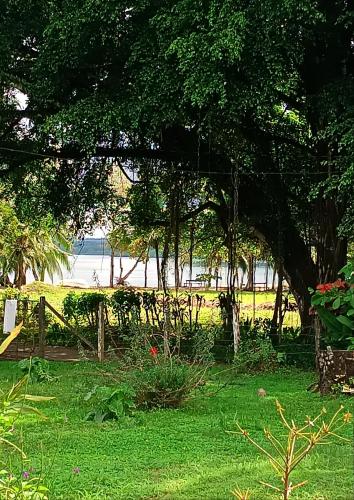 a yard with a fence and trees and grass at Macaw in Puerto Jiménez