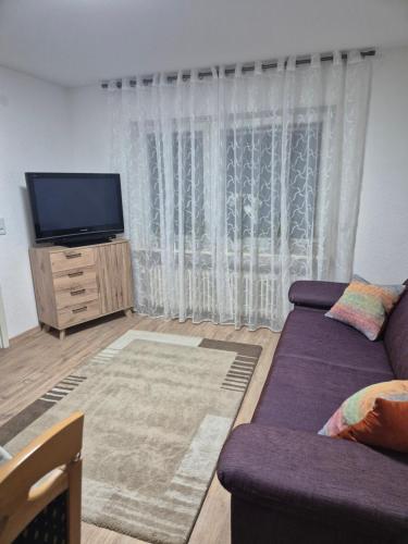 a living room with a couch and a tv at Olgas Ferienwohnung Saarburg Bahnhofstraße 13 G in Saarburg