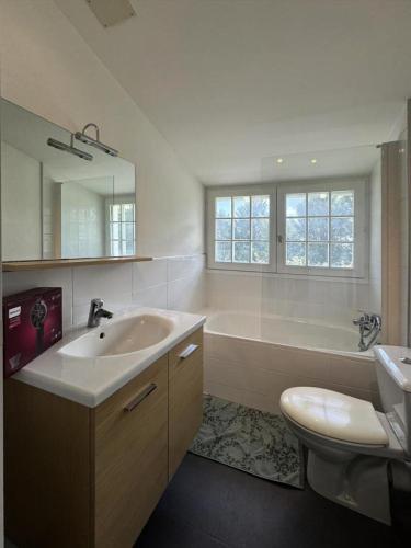 une salle de bain avec un lavabo, une baignoire et des toilettes dans l'établissement Gîte de France Tennis 3 épis - Gîte de France 4 personnes MAE-4621, à Brive-la-Gaillarde