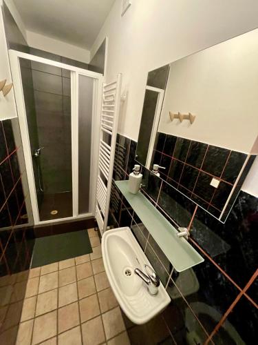 a bathroom with a sink and a shower at Penzion Fáfa in Rozvadov