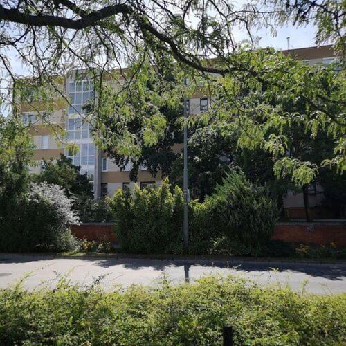 a building with a tree in front of a building at Kata Belvárosi Apartman in Veszprém