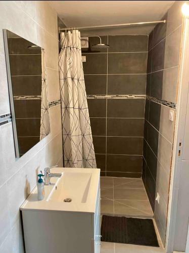 une salle de bain avec un lavabo et une douche dans l'établissement Studio centre ville Vichy, à Vichy