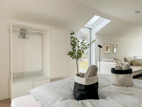ヴァールシュタインにあるScandi Micro Houseの白い部屋(ベッド1台、椅子2脚付)