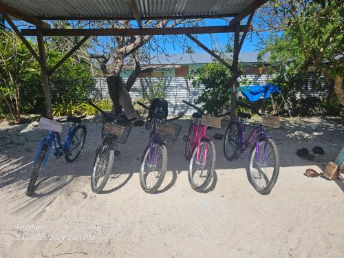 Ποδηλασία στο Kinakamo Lodge et Activités Rangiroa ή στη γύρω περιοχή