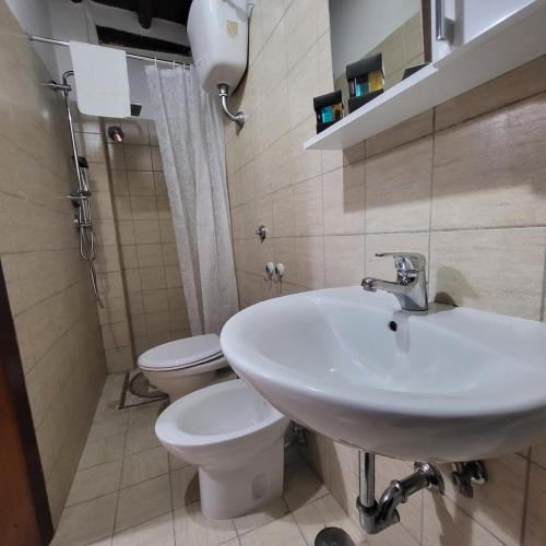 a bathroom with a sink and a toilet at Appartamento Margherita in Genzano di Roma