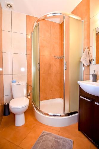 a bathroom with a shower and a toilet and a sink at Marysieńka Pokoje Hrube Wyżne 12A in Zakopane