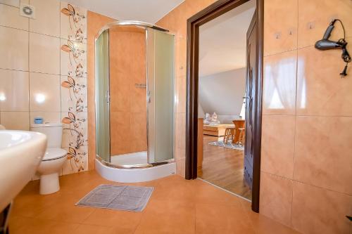 a bathroom with a shower and a toilet and a sink at Marysieńka Pokoje Hrube Wyżne 12A in Zakopane