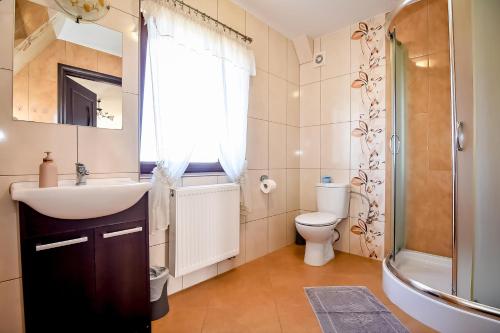 a bathroom with a sink and a toilet and a shower at Marysieńka Pokoje Hrube Wyżne 12A in Zakopane