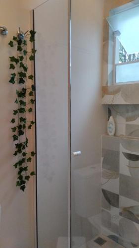 a glass cabinet with a plant on the wall at Suítes Garden in Pomerode