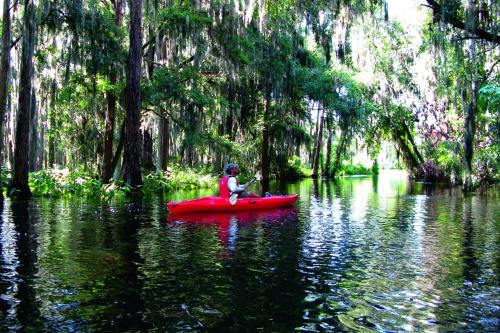 JW Marriott Orlando Grande Lakes photo 101
