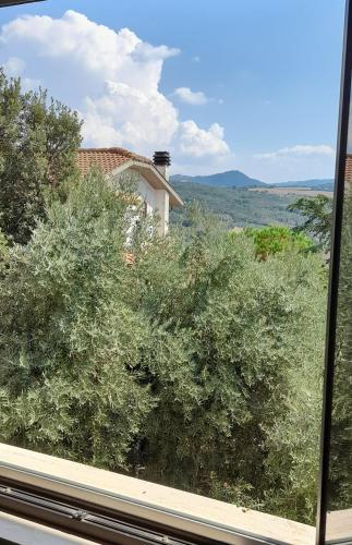 a view from a window of a house with bushes at La Poltrona del Diavolo in Montenero
