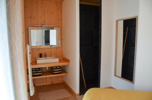 une salle de bain avec un lavabo et un miroir dans l'établissement Maison en Bois 6 pers - Plage&Forêt Montalivet Vensac-Océan, à Vensac