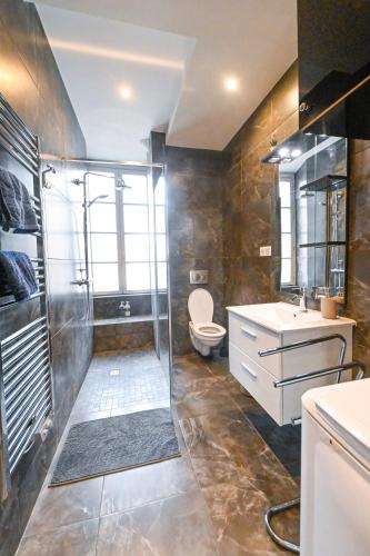 une salle de bain avec une douche, des toilettes et un lavabo dans l'établissement Loft place Masséna avec terrasse, à Nice