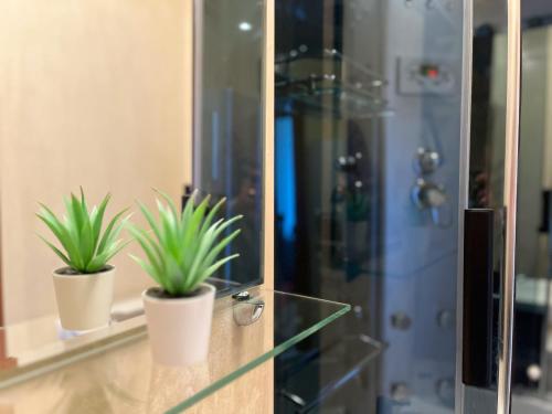 ヴァウブジフにあるApartament Książęca Góraのバスルームのガラス棚に座った鉢植え2本